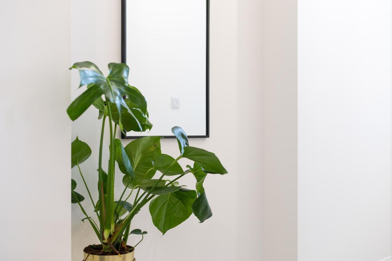 Caemawr Place - Stylish Tv In Every Bedroom! Apartment *